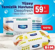 DEEPFRESH YÜZEY TEMİZLİK HAVLUSU 100'LÜ